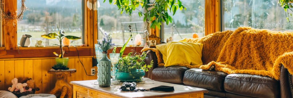 cosy living room feat img