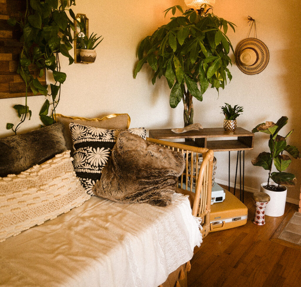 cosy living room with plants