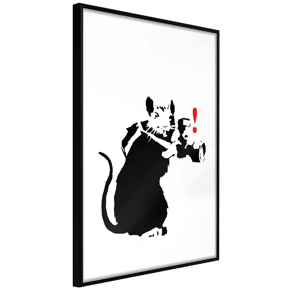 Poster Rat Photographer