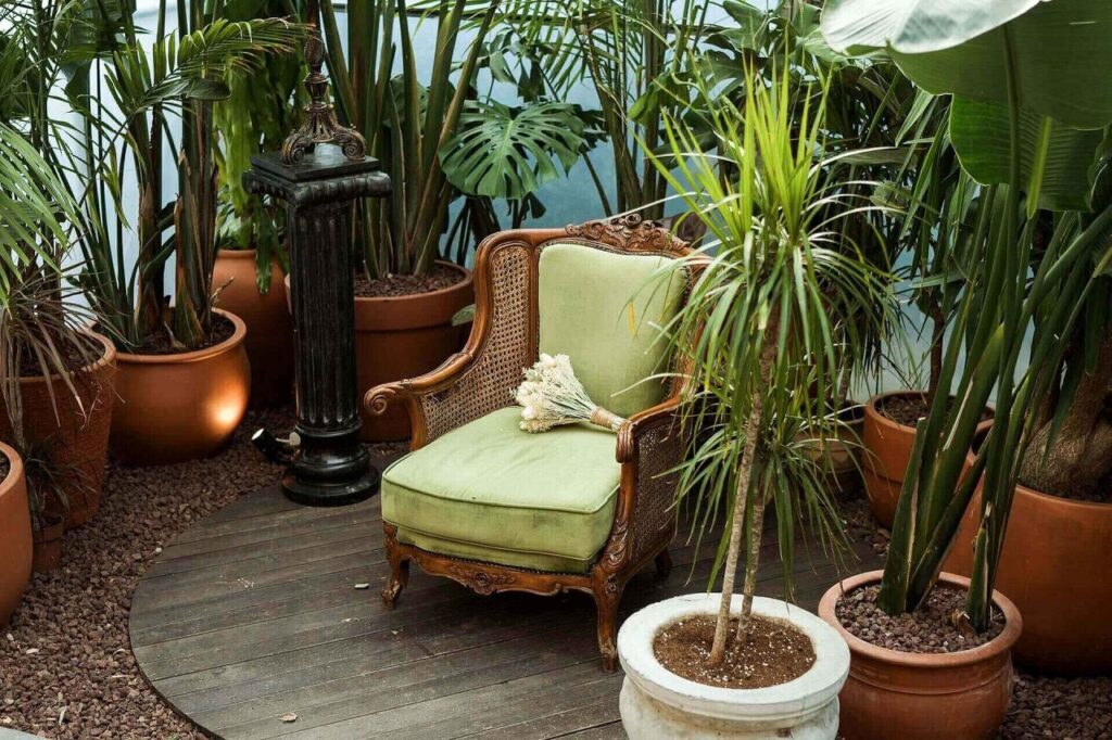 cosy winter garden feat image