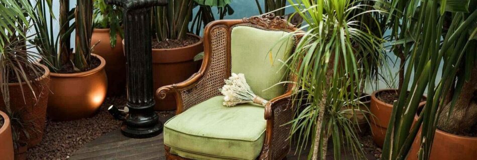 cosy winter garden feat image