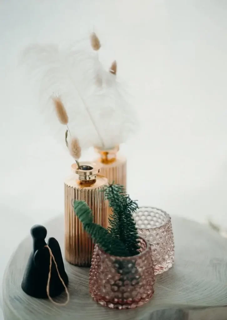 coffee table home decoration design with plants and vases