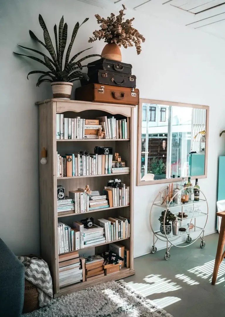 unique shelves for your books for home decoration