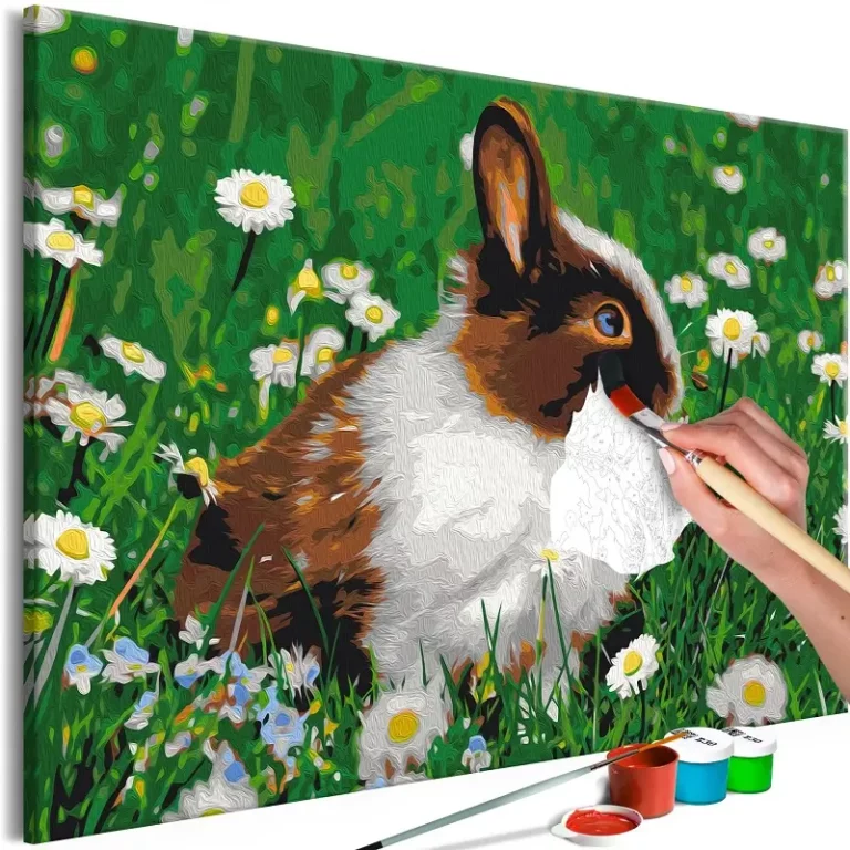 Painting by numbers adults 'Rabbit in the Meadow'