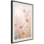 poster poppies