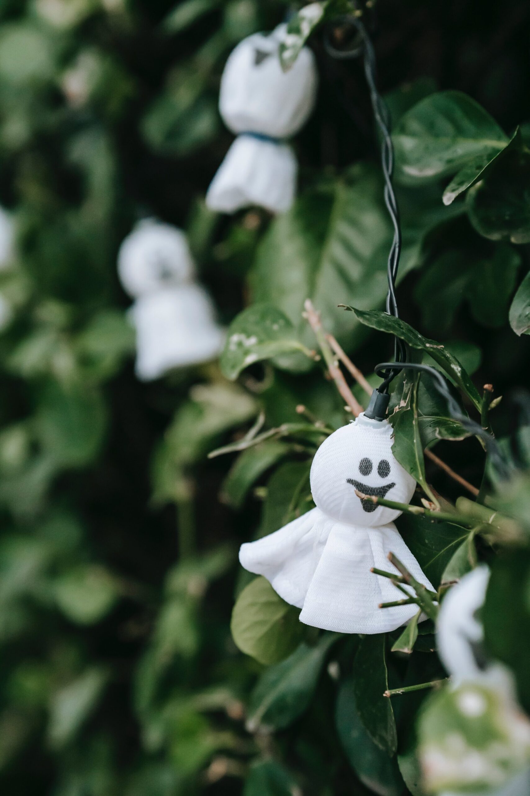 Ghostly Christmas lights
