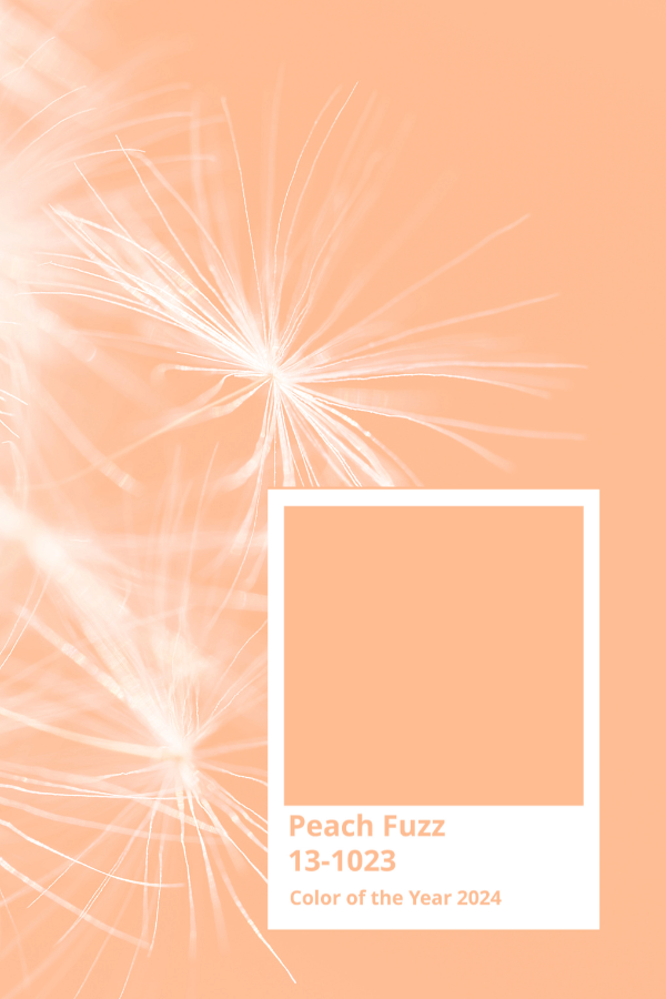 Peach Fuzz Pantone Color of the year with white thin flower design in the background