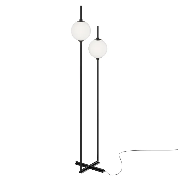Minimalist floor lamp with two globes, black frame, for modern home decor with white background
